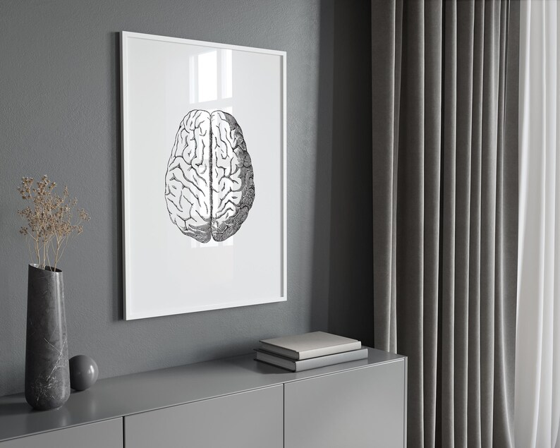 Brain Anatomy Poster, Medical Art Print, Vintage Anatomical Art ...
