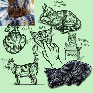 Cartoon pet portrait  and sketch character sheet