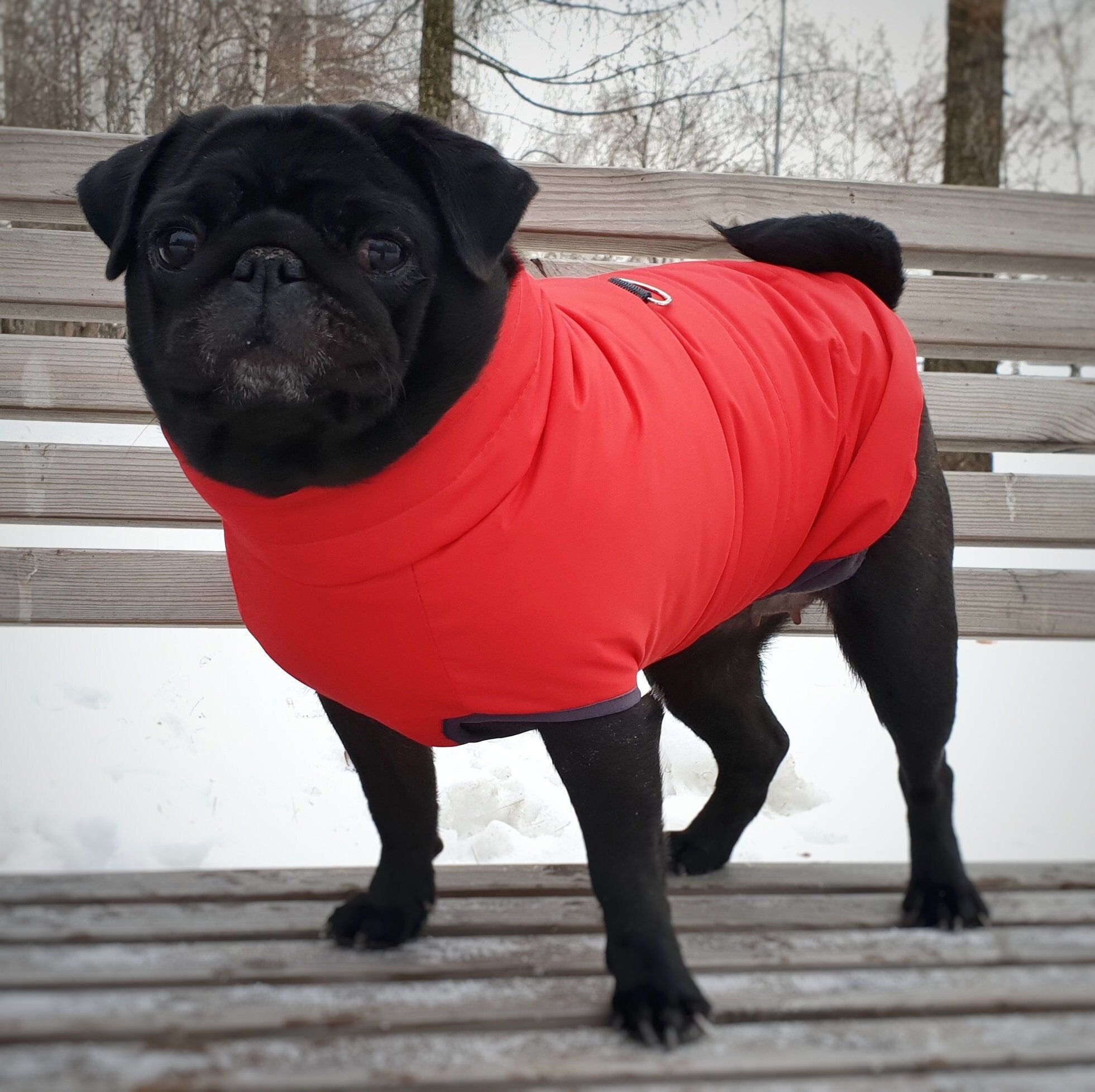 red waterproof dog coat