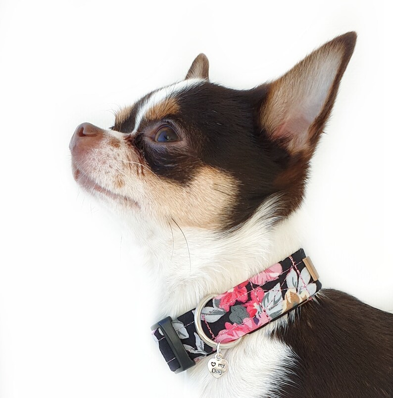 Custom Dog Collar Floral Girly Dog Collar Pretty Herbal Dog Etsy