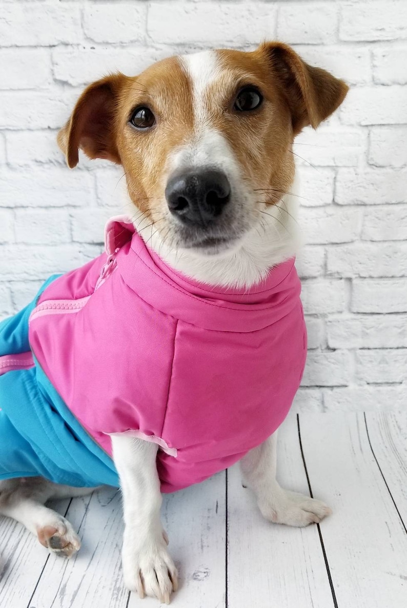 Pink dog jacket Pink Dog Coat for girls Girly dog winter coat Etsy