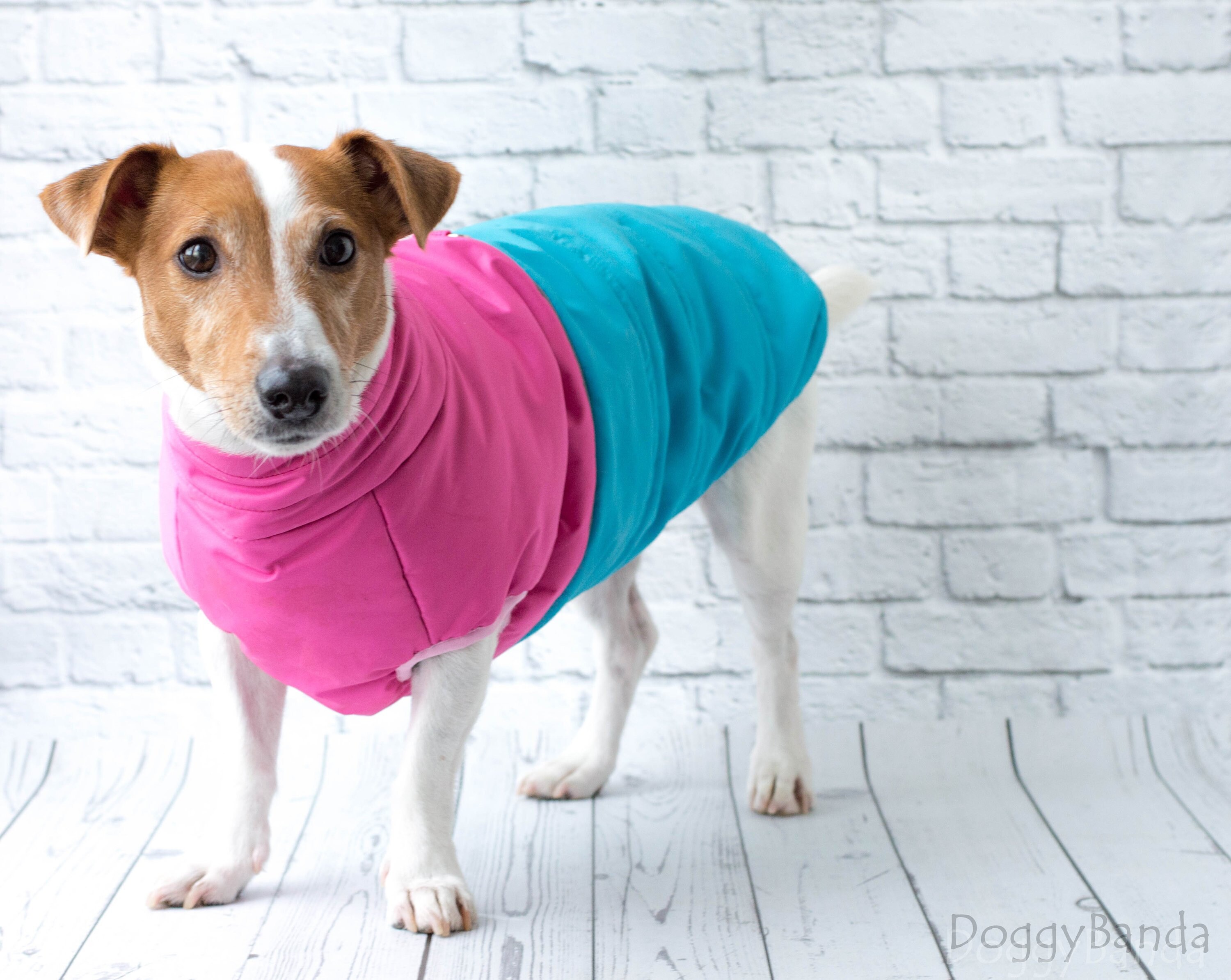 Girl dog jacket Pink dog jacket with floral print Winter Etsy