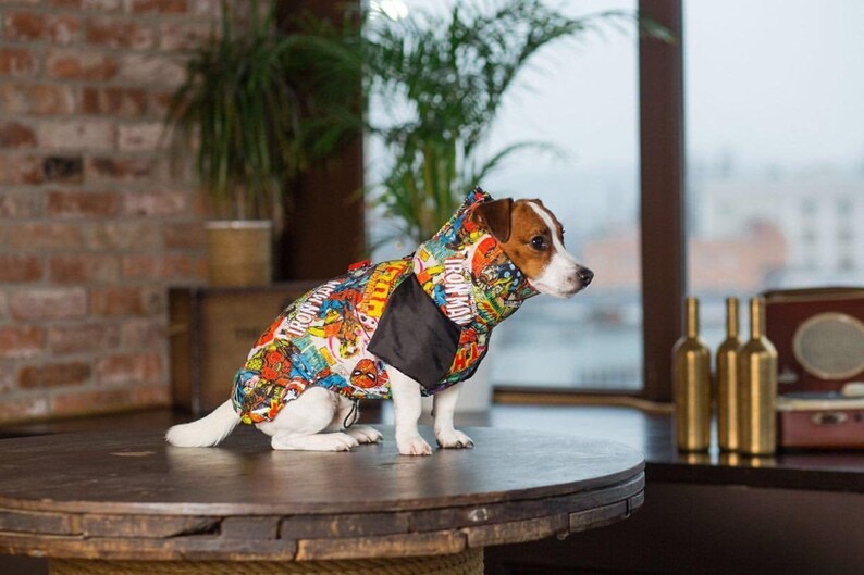 Jack russell terrier clothes Snood coat for dog Dog jacket Etsy