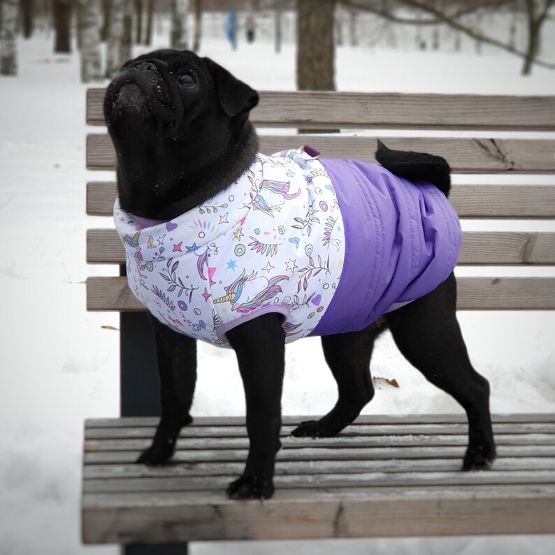 Lavender dog jacket Girl dog coat for girls Pattern winter Etsy