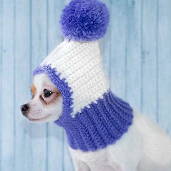 Crochet Dog Beanie Deals, 58% OFF | www 