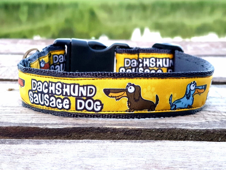 Dachshund dog collar Sausage dog collar Dachshund Lovers Etsy
