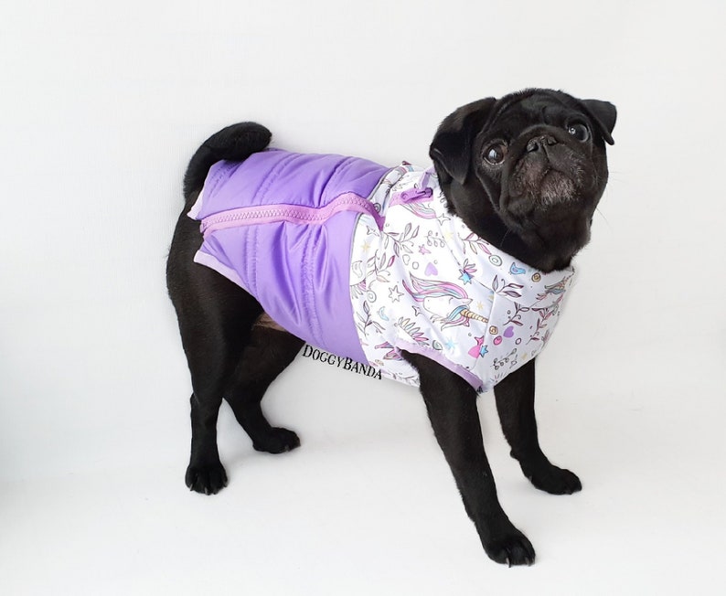 Lavender dog jacket Girl dog coat for girls Pattern winter Etsy