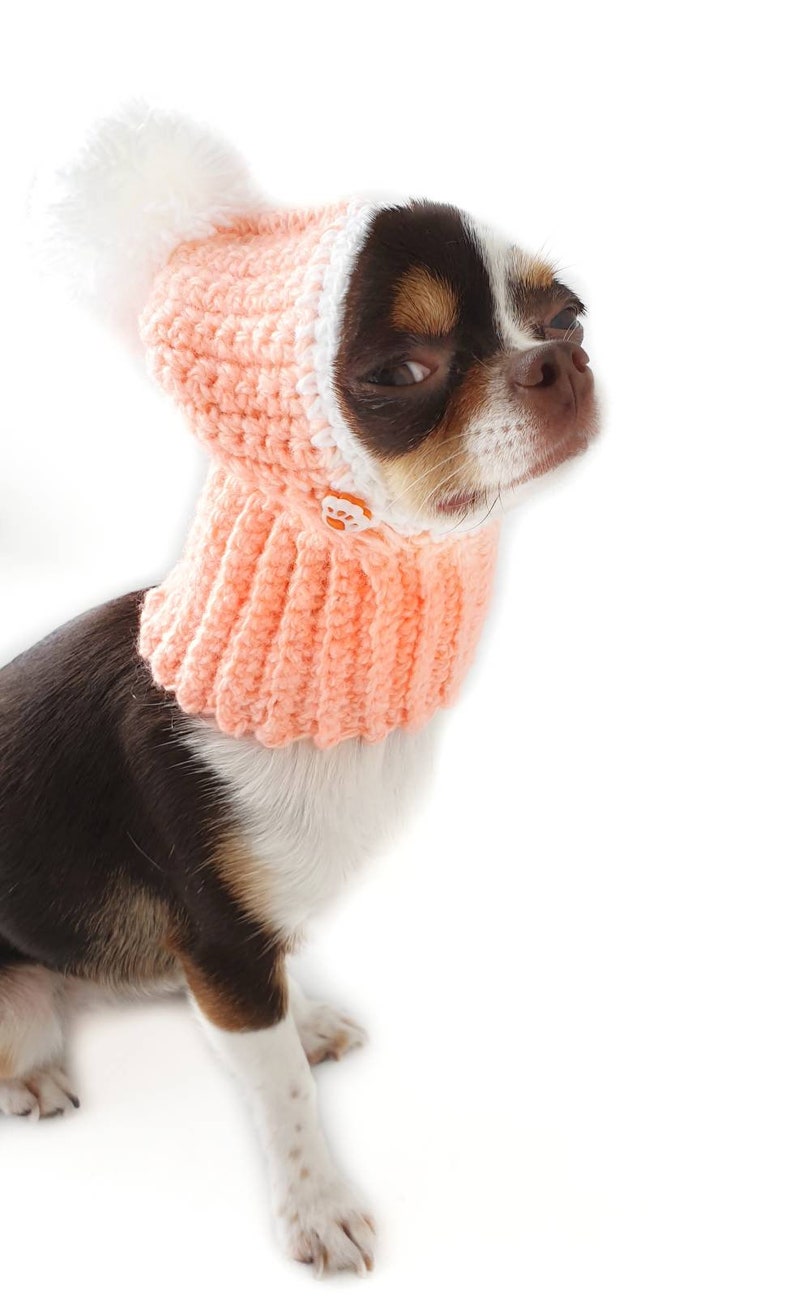 Winter Dog Hat for Dogs Snood Knit Dog Hat with Pompom Etsy