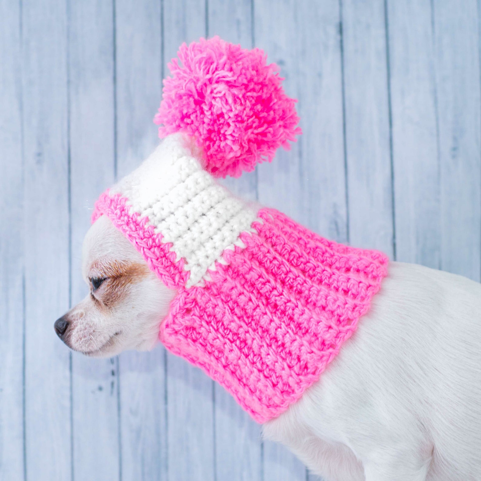 Dog hat and scarf Dog hats for small dogs Wool winter dog hat Etsy
