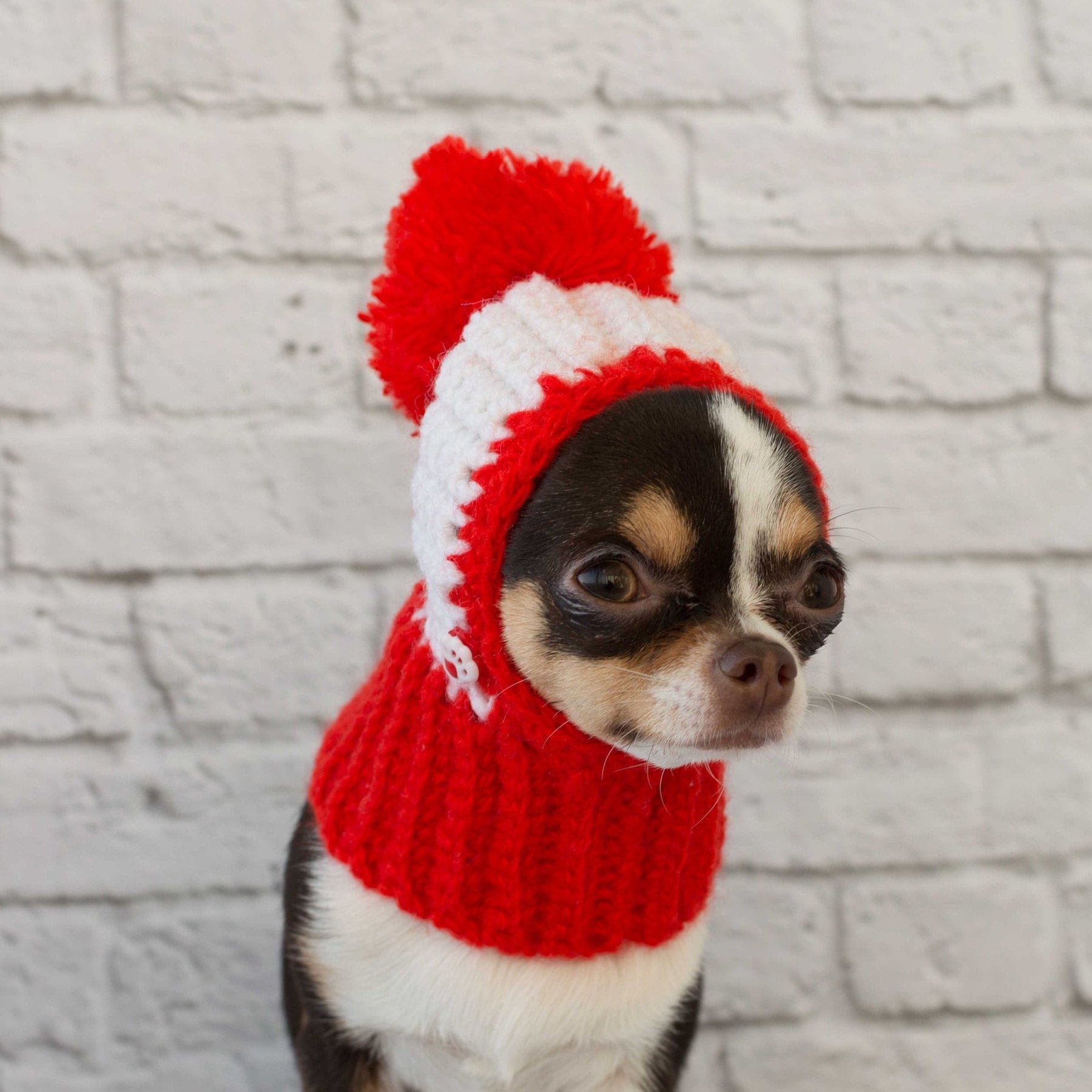Sombrero de perro cachorro Sombrero de perro tejida Sombrero Etsy