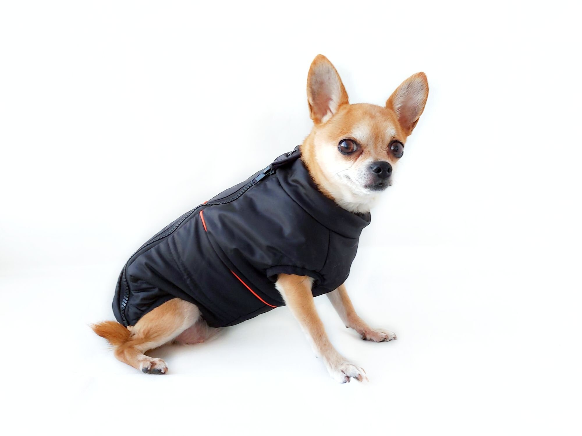 black dog fleece