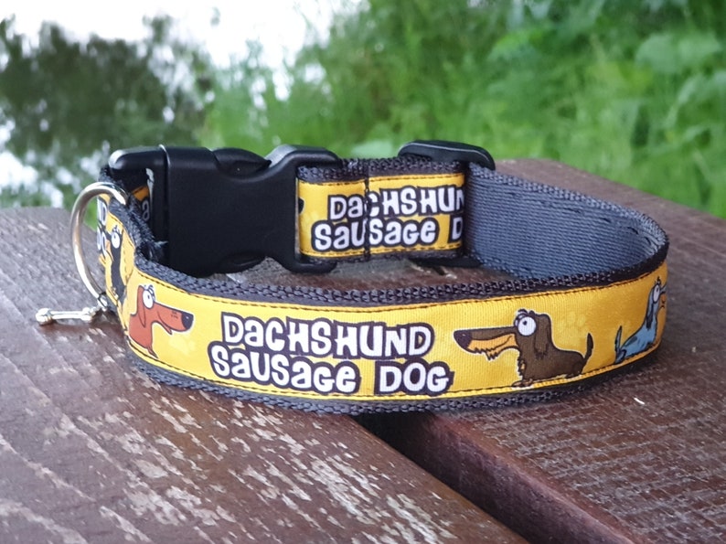 Dachshund dog collar Sausage dog collar Dachshund Lovers Etsy