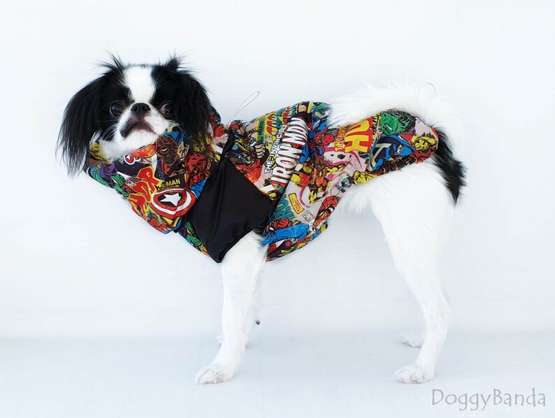 Jack russell terrier clothes Snood coat for dog Dog jacket Etsy