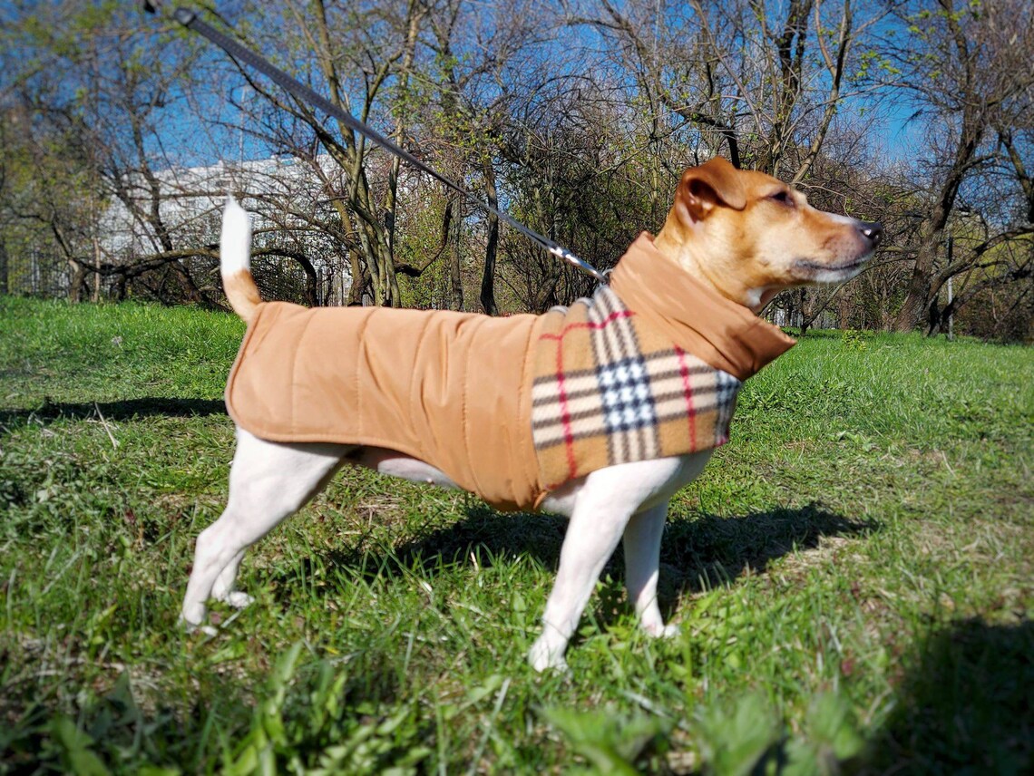 Fleece dog coat Beige plaid dog coat Vintage dog coat small Etsy