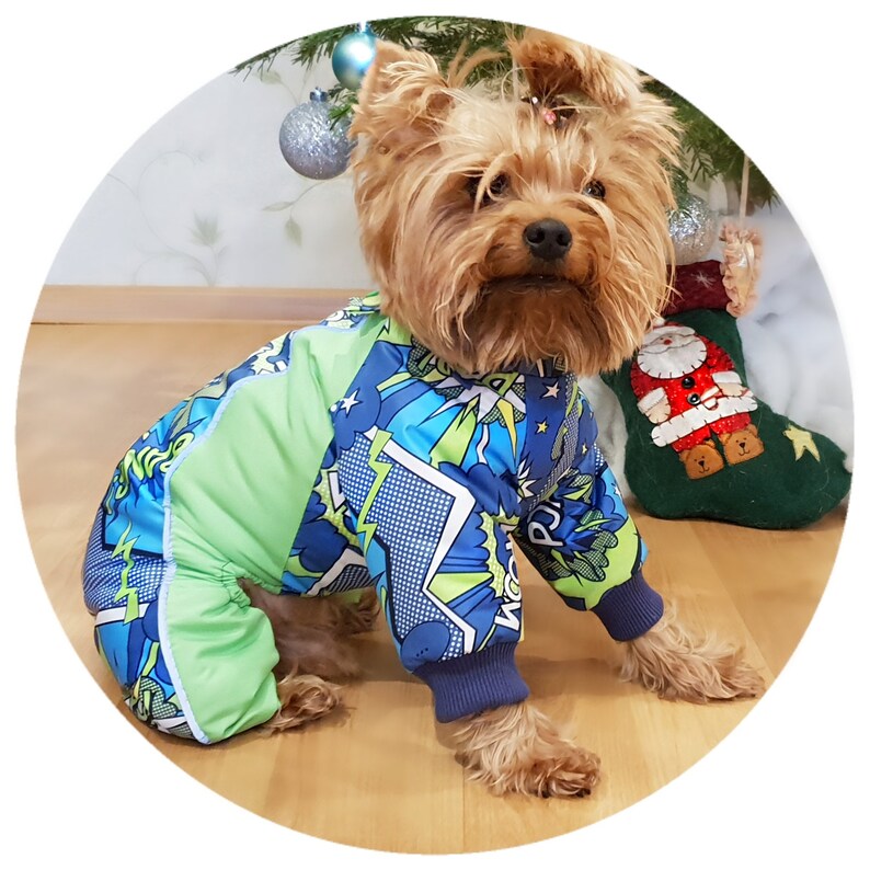 Dog winter overall Dog Full Body Suit with Removable Hood Etsy