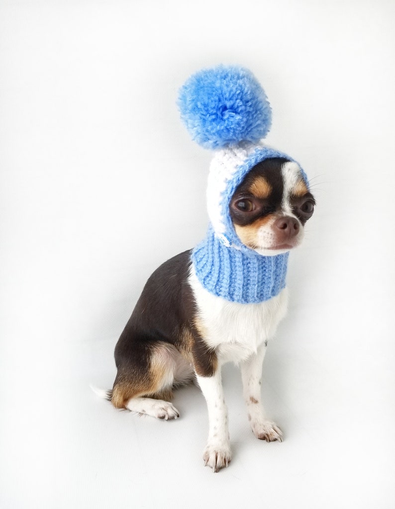 Knitted Dog Hat Cozy Crochet Dog Hat Blue Winter Dog Snood Etsy