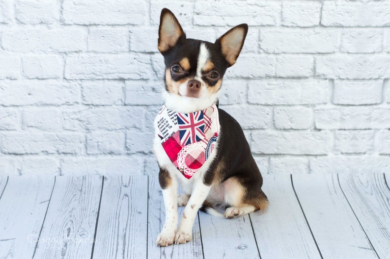 union jack dog bandana