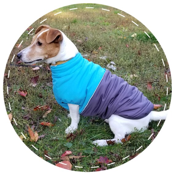 medium dog winter coats