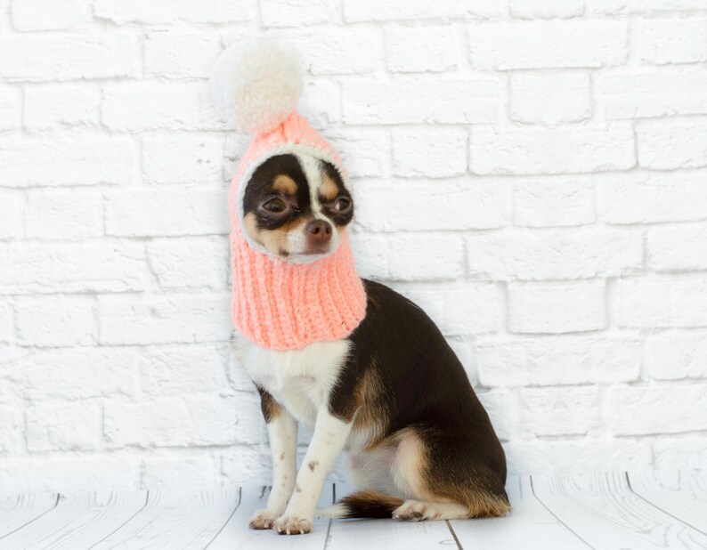 Winter Dog Hat for Dogs Snood Knit Dog Hat with Pompom Etsy