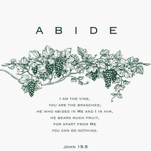May include: A green and white illustration of a vine with grapes, with the text "ABIDE" above the vine and the text "I AM THE VINE, YOU ARE THE BRANCHES; HE WHO ABIDES IN ME AND I IN HIM, HE BEARS MUCH FRUIT, FOR APART FROM ME YOU CAN DO NOTHING. JOHN 15:5" below the vine.