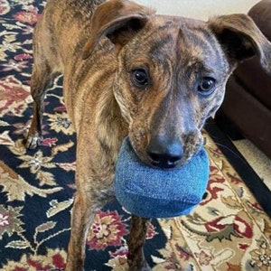 Soft Squeak Toy for Dog Fun Toy for Puppy Durable Play Toy for Dogs New Puppy Gift Strong Toy for Dog Toss Toy Dog Fetch Toy Puppy