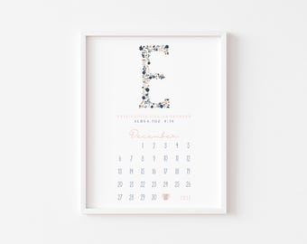 May include: A white framed print with a floral letter E in shades of blue and pink. The print includes the name "Evie Louise Lillian Skinner", the date "December 31, 2015", and the birth weight "6 lbs 6.5 oz 8:38".