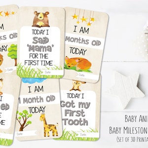 PLAQUETTES - Baby Animal Milestone Card Set / / première année de bébé / / 30 pack