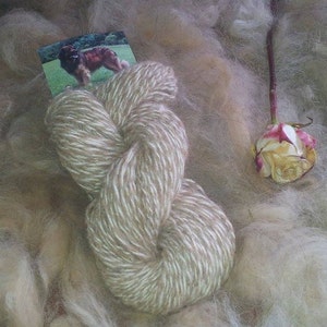 Handmade dog wool yarn