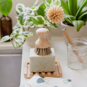 May include: A wooden handled dish brush and a round-handled scrub brush sit near a bar of soap on a bamboo soap dish. The soap is light green and rectangular. A glass jar and plants are in the background.