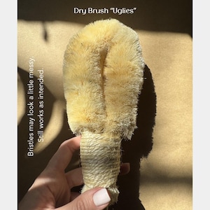 May include: A beige dry brush labeled Dry Brush Uglies with a text note stating Bristles may look a little messy. Still works as intended. The brush features a thick, rounded head of stiff, light-colored natural fibers and a handle wrapped in twine.