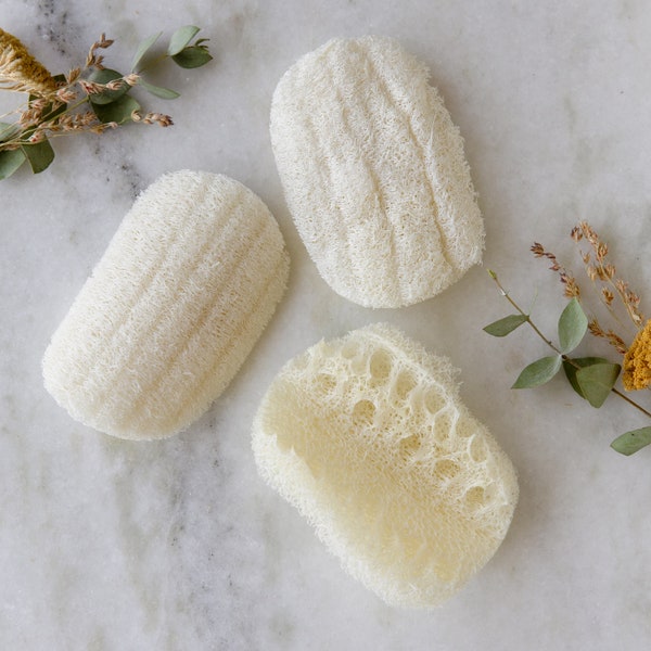 Compostable Eco Dish Sponge 3-Pack | 100% Plant-based, Zero Waste Kitchen & Cleaning Loofah Sponges