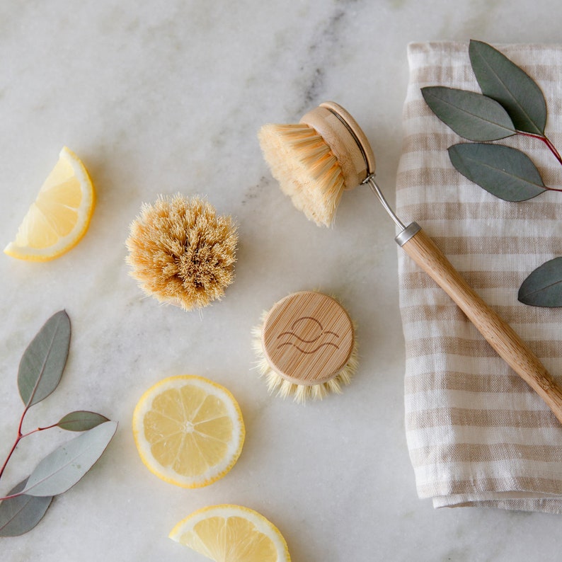 May include: A set of four natural bristle dish brushes with wooden handles. Two brushes have a round shape and one has a long handle. The brushes are on a white marble surface with lemons and eucalyptus leaves.
