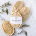 Double Layer Oval Loofah Sponge | 100% Natural Exfoliating Bath Loofah | Eco Friendly, Compostable