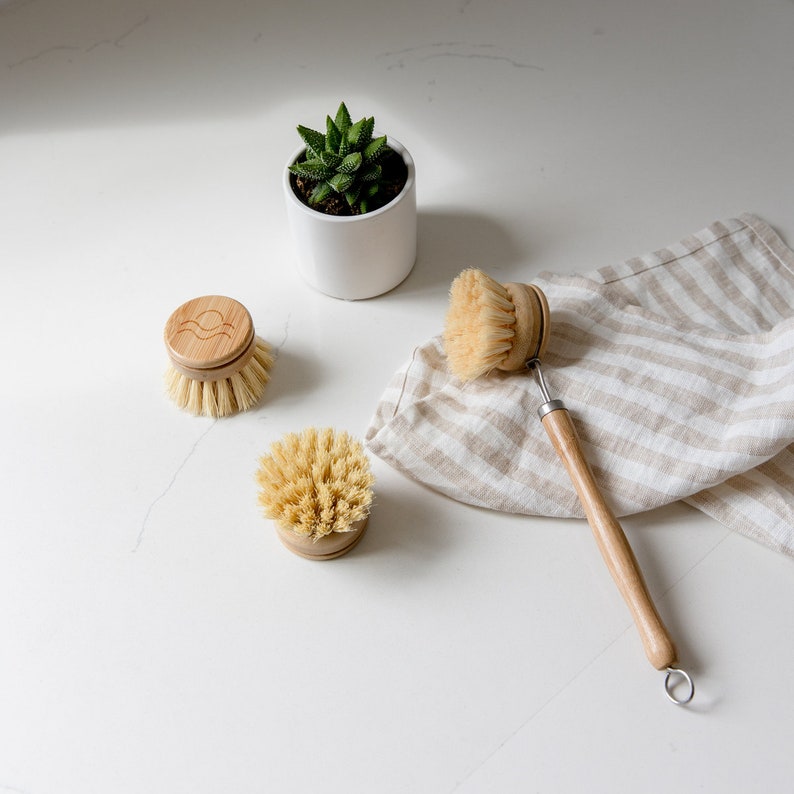 May include: Three natural bristle dish brushes with wooden handles. Two are small and round, one is larger with a long handle and a metal loop. The brushes are on a white countertop with a small potted succulent plant.