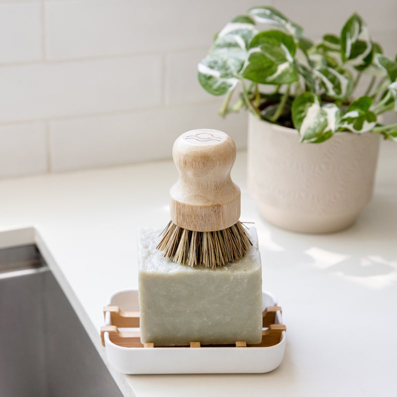 Earth Ahead Pot Scrubber Brush