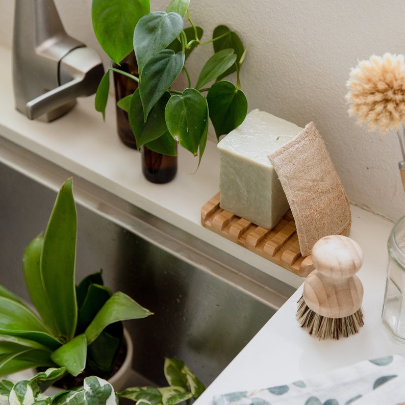 May include: A green plant in a glass bottle sits on a white worktop next to a bar of soap on a bamboo soap dish. A brown loofah sponge and a wooden brush with natural bristles are also on the counter.