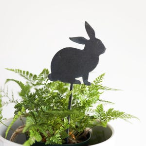May include: A black metal bunny silhouette garden stake in a white ceramic pot with green fern plants. The pot has a floral embossed design. The bunny stake is placed in the center of the plant.
