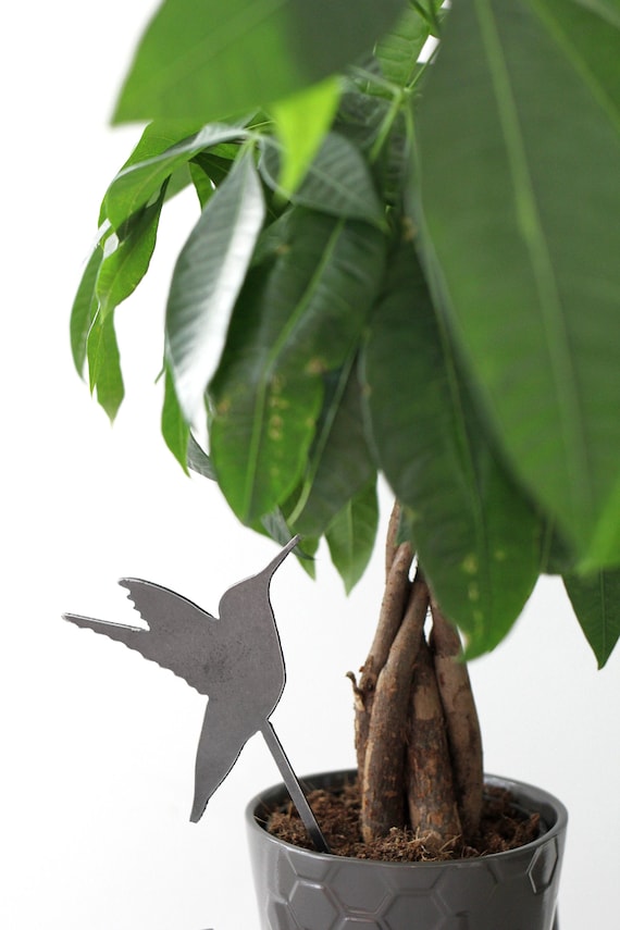 Happy Hummingbird Plant Stake | Houseplant Bird Garden Plant Stake Garden  Gift Farmhouse Decor Bird Statue Nature Art Rustic Cottage Decor - Etsy