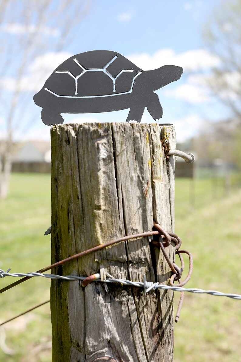 K&ouml;nnte beinhalten: Eine schwarze Metall-Schildkr&ouml;ten-Silhouette, die auf einem verwitterten Holzpfosten montiert ist. Der Pfosten ist mit rostigem Stacheldraht umwickelt.
