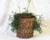 Woven Large Planter Basket - planter basket - trash can - reed basket - wicker planter - houseplant basket - boho basket - basket gift - lg