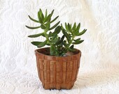 Bamboo Small Planter Basket - planter basket - planter - boho planter - wicker planter -houseplant basket - bamboo basket -boho basket -gift