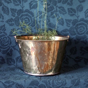 Puede incluir: Un cubo de cobre con un acabado desgastado, lleno de plantas verdes de hoja en un fondo azul con estampado floral.