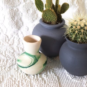 May include: Three potted succulents in different sized gray ceramic pots. The succulents are a prickly pear cactus, a globe cactus, and a small green and white patterned vase.