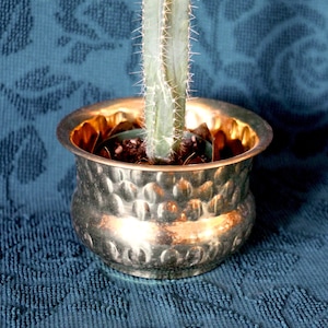 Medium brass planter - circle divots - boho planter - textured planter - brass pot - houseplant - brass pot - brass houseplant - shiny pot