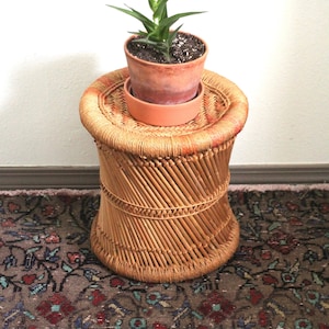 Può includere: Una piccola pianta in vaso con foglie verdi è posizionata su uno sgabello in vimini intrecciato con un motivo marrone e arancione. Lo sgabello è su un tappeto a motivi con sfumature di marrone, rosso e blu.