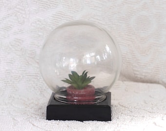 Clear glass ball with square base - plant terrarium - black plastic stand - glass orb - glass sphere - plant ball - cloche - plant gift