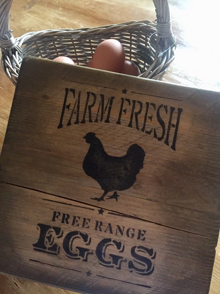Chicken eggs for sale sign free range eggs for sale etsy