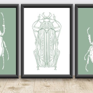 Beetle Print, Beetle Art Set, Insect Wall Art, Printable Art Set, Set of 3 Prints, Gallery Wall Prints, Insect Art