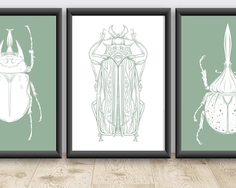 Beetle Print, Beetle Art Set, Insect Wall Art, Printable Art Set, Set of 3 Prints, Gallery Wall Prints, Insect Art
