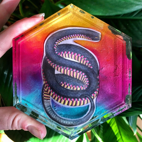 Sunset Snake Trinket Tray Epoxy Resin Coasters Resin Petri - Etsy